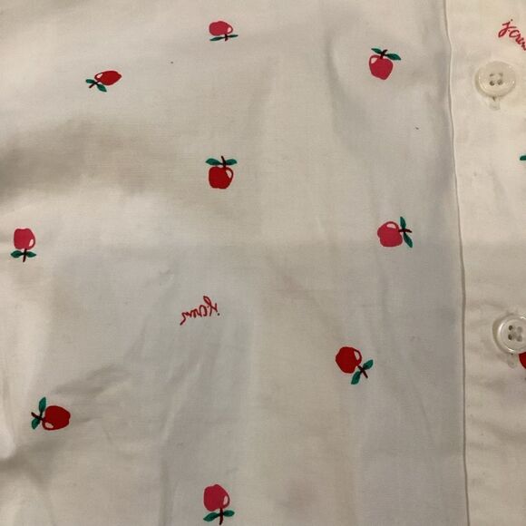 NWT J. Crew Factory apples teacher button-up cotton poplin shirt - Picture 8 of 9